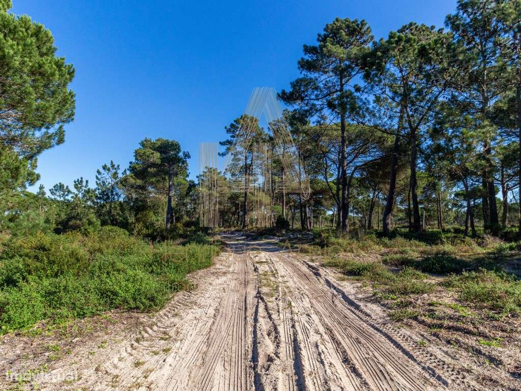 Terreno rural em Aldeia do Meco - Grande imagem: 2/7