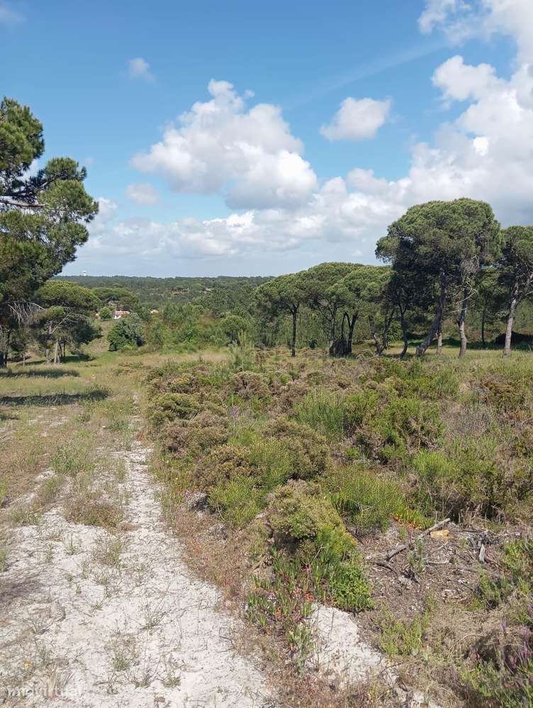 Terreno Rústico perto do Meco - Grande imagem: 4/7