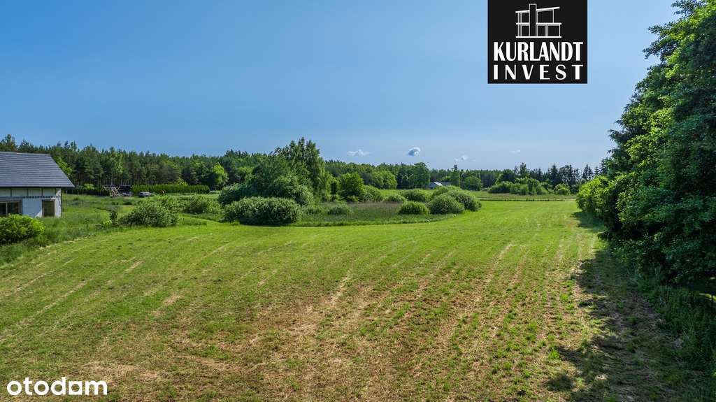 Działka Warunki Zabudowy 3953 m²-5