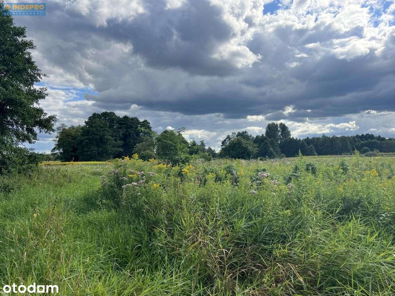 Duchnów 3769m² (1000m²+las) Wz – 3km do A2 rzeka-8
