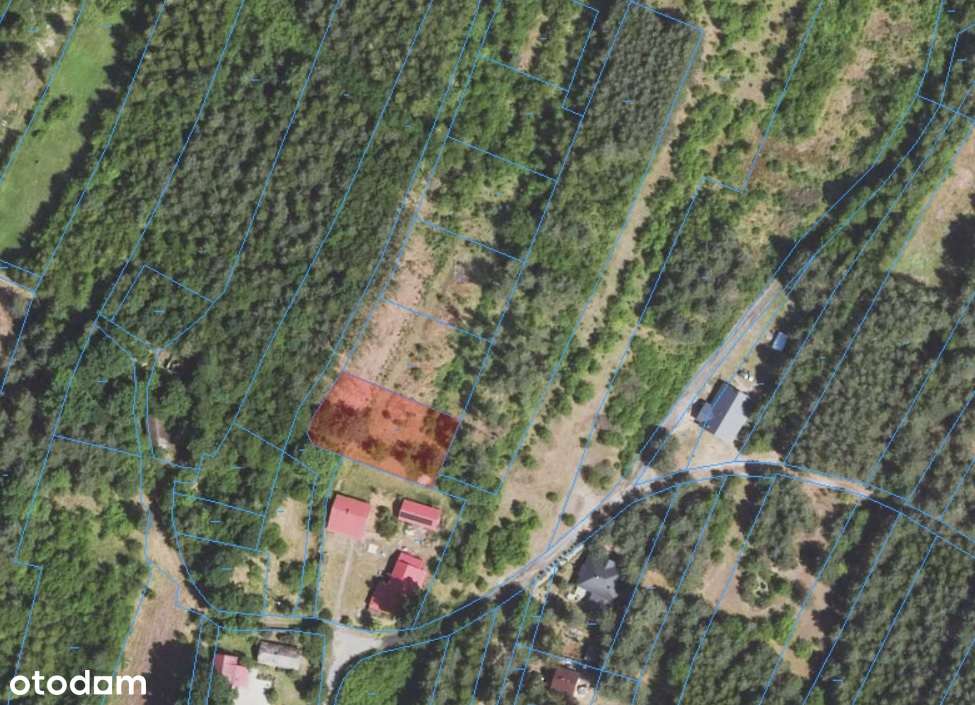 Wyjątkowe działki z WARUNKAMI ZABUDOWY Grochowe k.Mielca - Pełny obrazek: 4/7