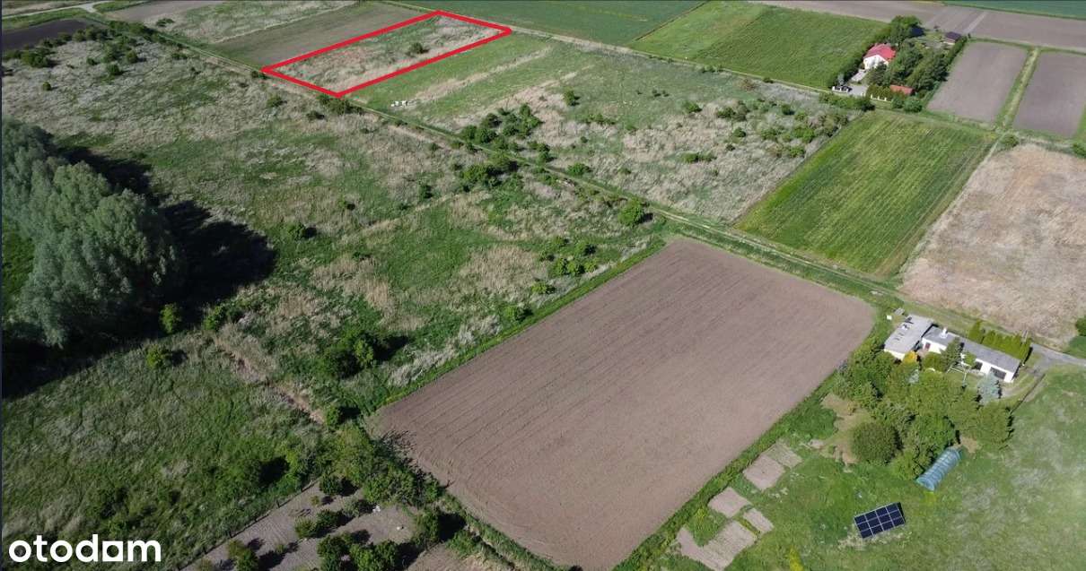 Działka rolna siedliskowa - Gdańsk Orunia 4929 m2 - Pełny obrazek: 4/6