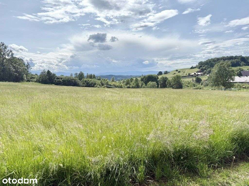 Malownicza działka w Jeżowie Sudeckim ( wysoko). - Pełny obrazek: 5/7