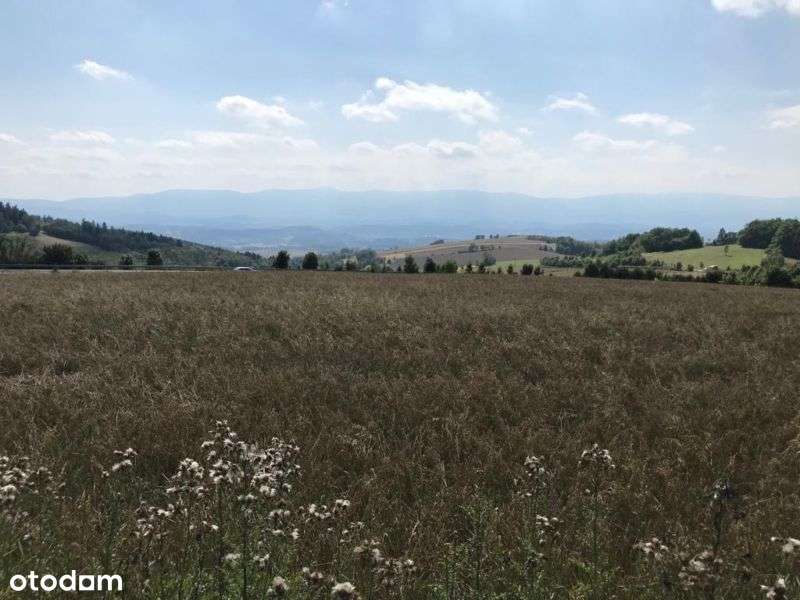 Wyjątkowa rezydencja 395 m2 z dużym ogrodem