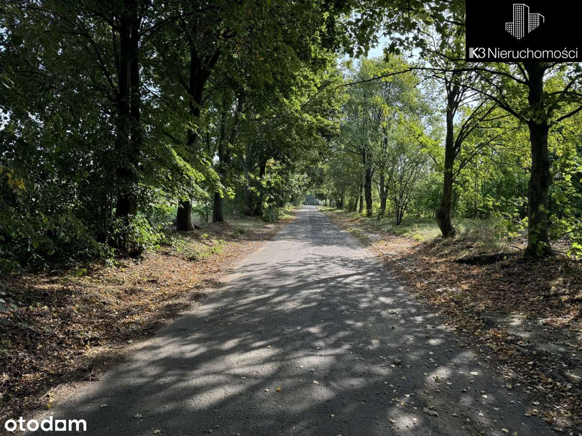 Działka Budowlana Siemiątkowo, Ul. Padlewskiego - Pełny obrazek: 3/10