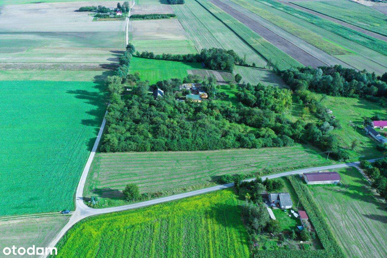 20800 Śniegocin - Pełny obrazek: 5/5