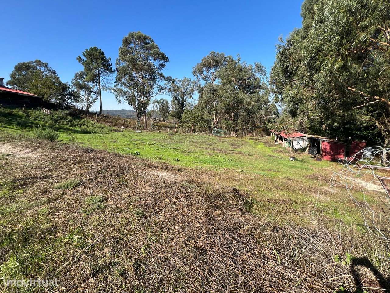 Terreno com 8.600 m2 em Silvares S. Clemente - Grande imagem: 5/10