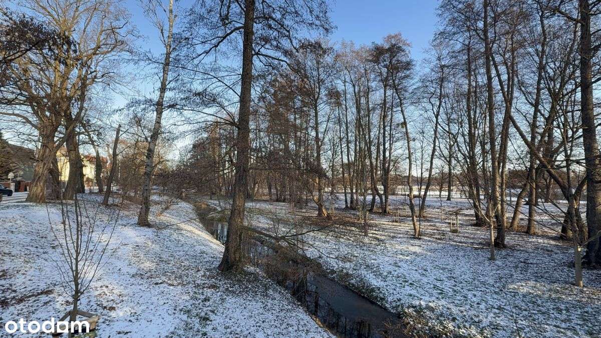 dla rodziny, inwestora/park/balkon/piwnica-13