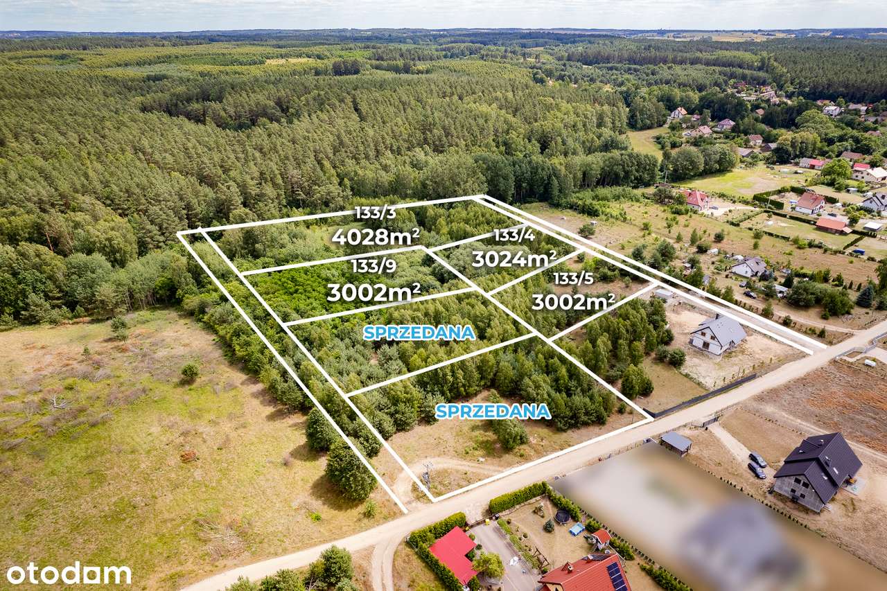 Działki budowlane 1.3 ha przy lesie Barcikowo Dobre Miasto-7