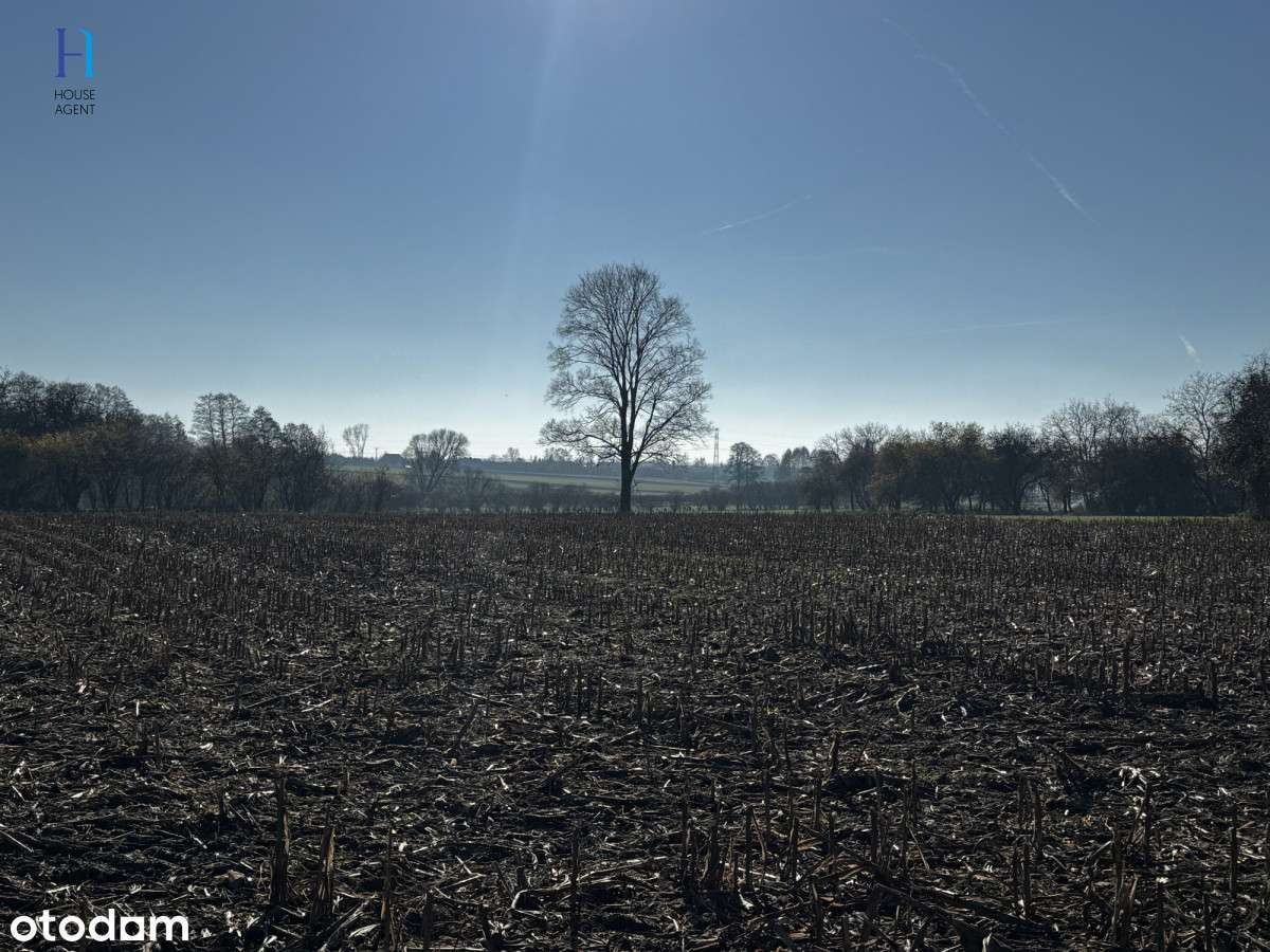 Kolonia Łaznów - działka w spokojnej okolicy - Pełny obrazek: 5/16