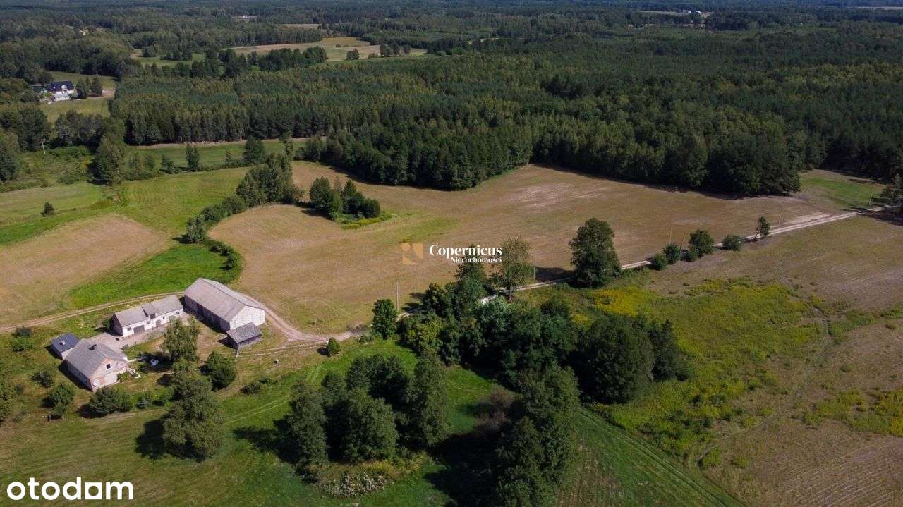 Grunt-6 ha z domem i budynkami,gm.Skępe,potencjał-12