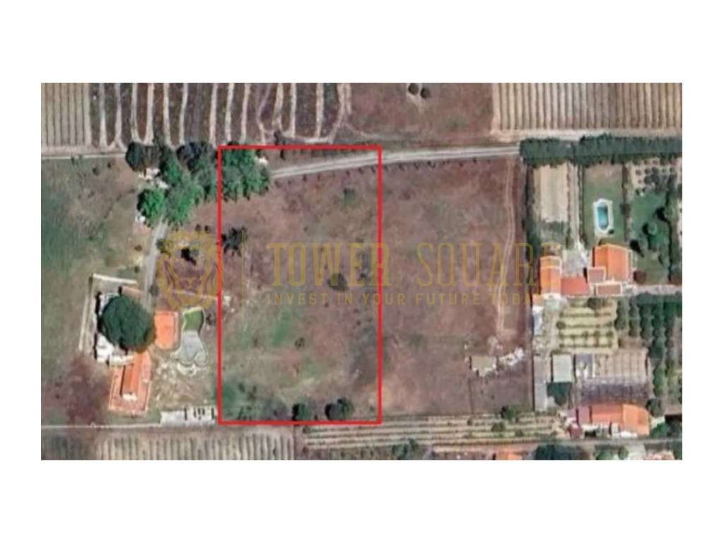 Terreno Rústico com PIP - 6.000 m² - Lau, Palmela - Grande imagem: 5/5