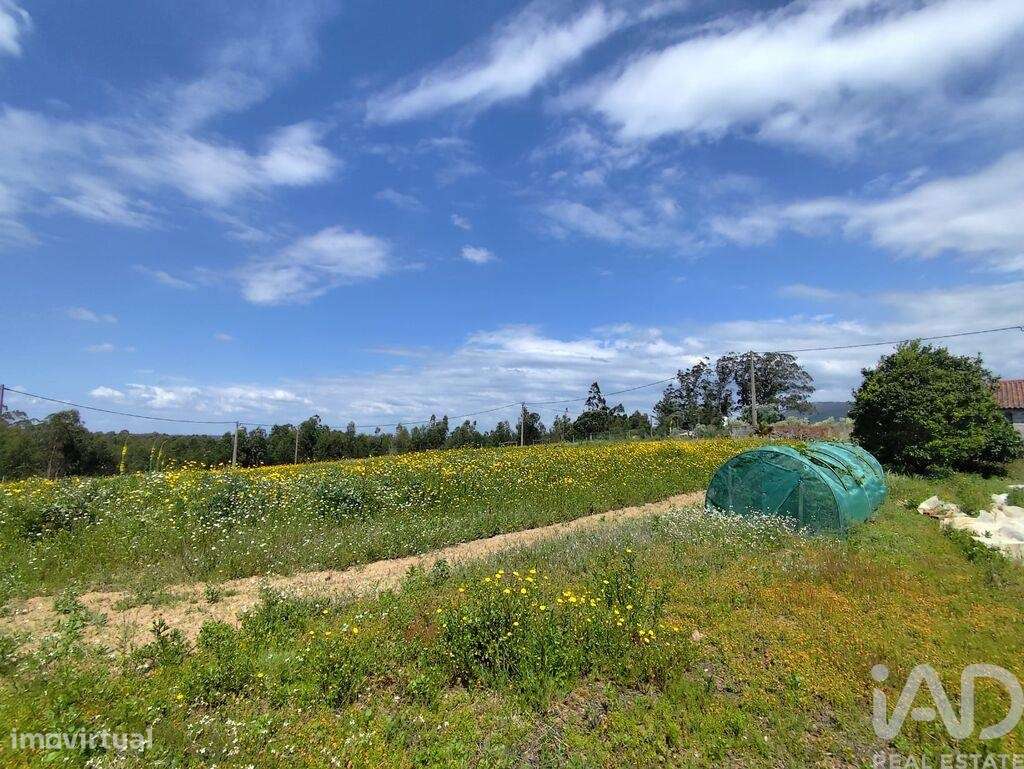 Terreno em Vilar de 2800,00 m2 - Grande imagem: 5/30