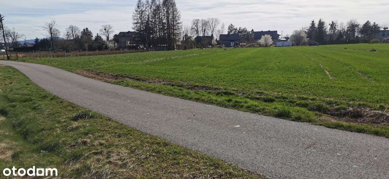 Sprzedam działkę 1933m2 Zaborze - Pełny obrazek: 2/8