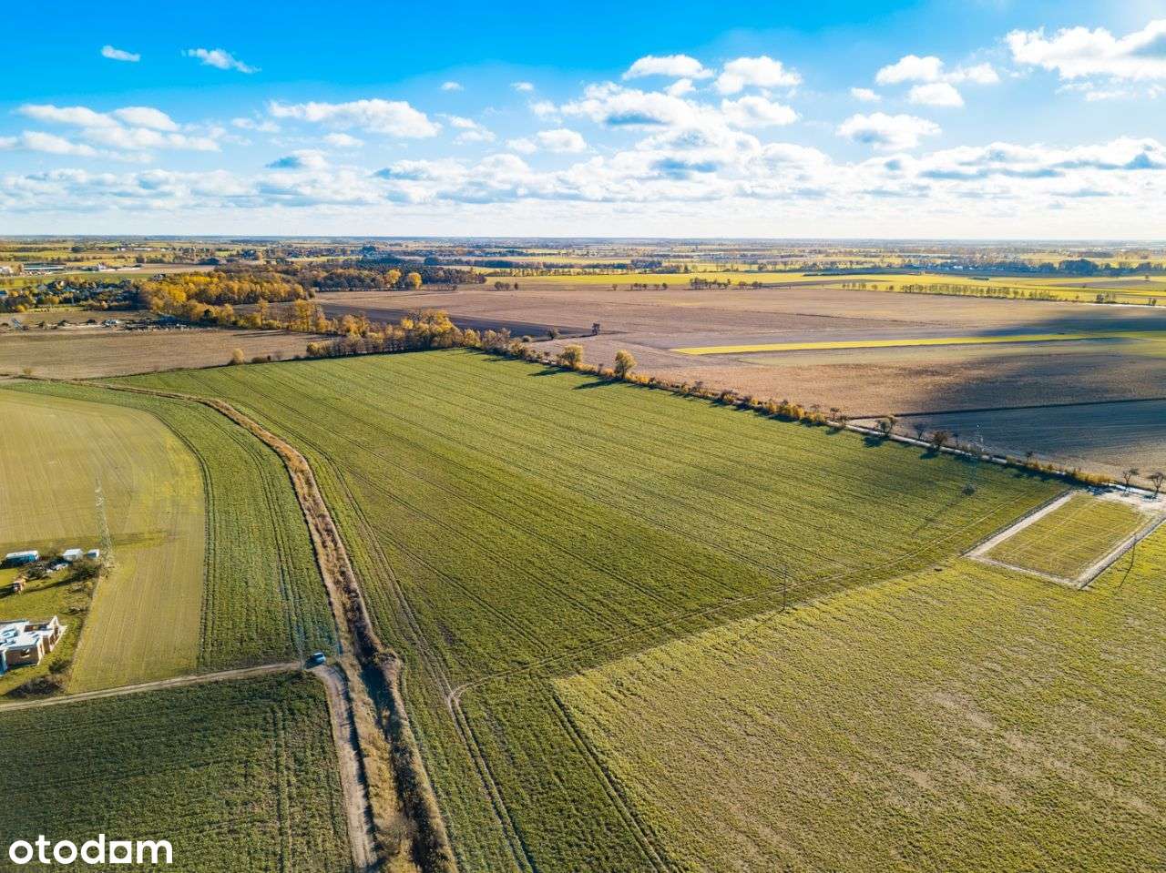 Zalasewo, ulica Spacerowa Nowy podział - Pełny obrazek: 5/14