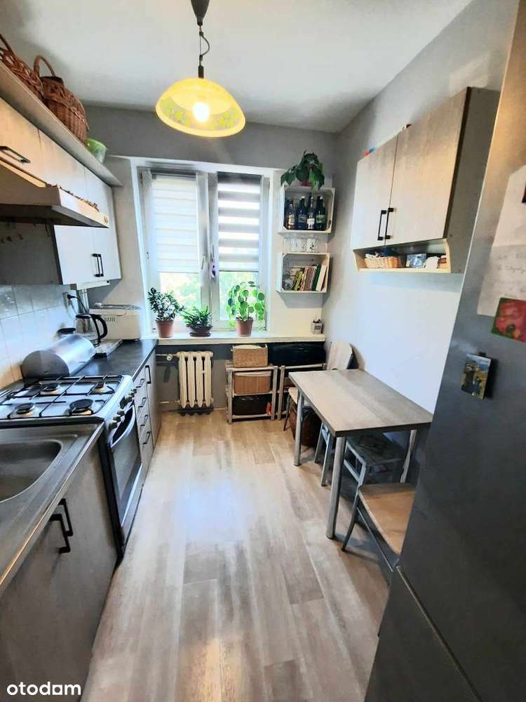 3 pokojowe mieszkanie w świetnej lokalizacji - Pełny obrazek: 4/8