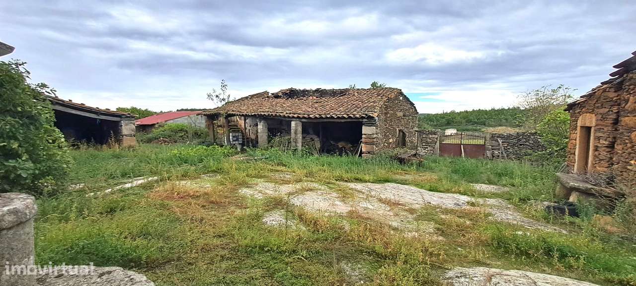 Quinta em Travanca, Mogadouro-13