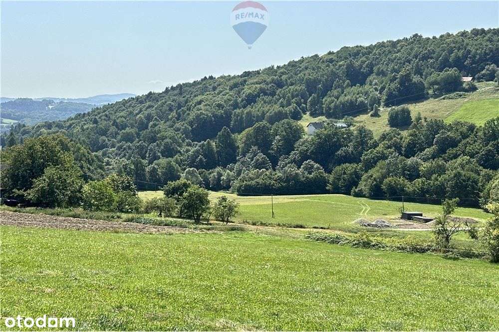 Prywatny las 3331 m2 - Twoja przestrzeń w naturze - Pełny obrazek: 5/20