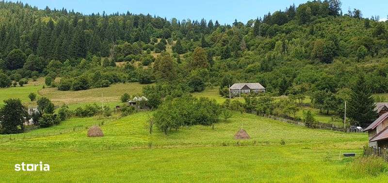 Teren intravilan Lunca Bradului(Mures) 1200 mp - Imagine principală: 5/8