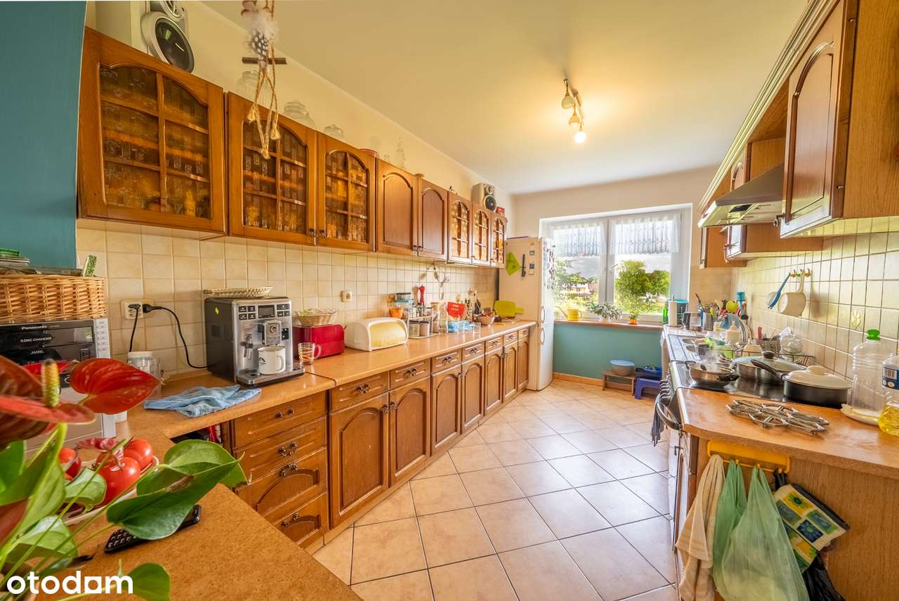 Dom wolnostojący  z ogromną działką i 2 halami w Łosinie - Pełny obrazek: 4/19