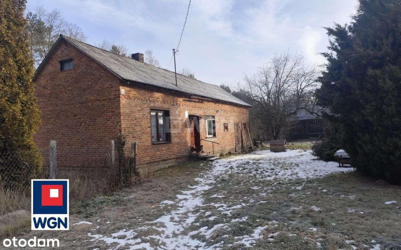 Dom, 40 m², Adamów-0