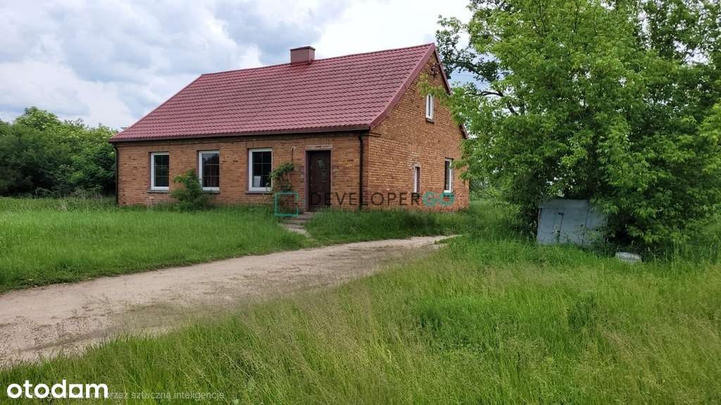 Siedlisko z Potencjałem Gospodarczym w Danowie - Pełny obrazek: 1/9