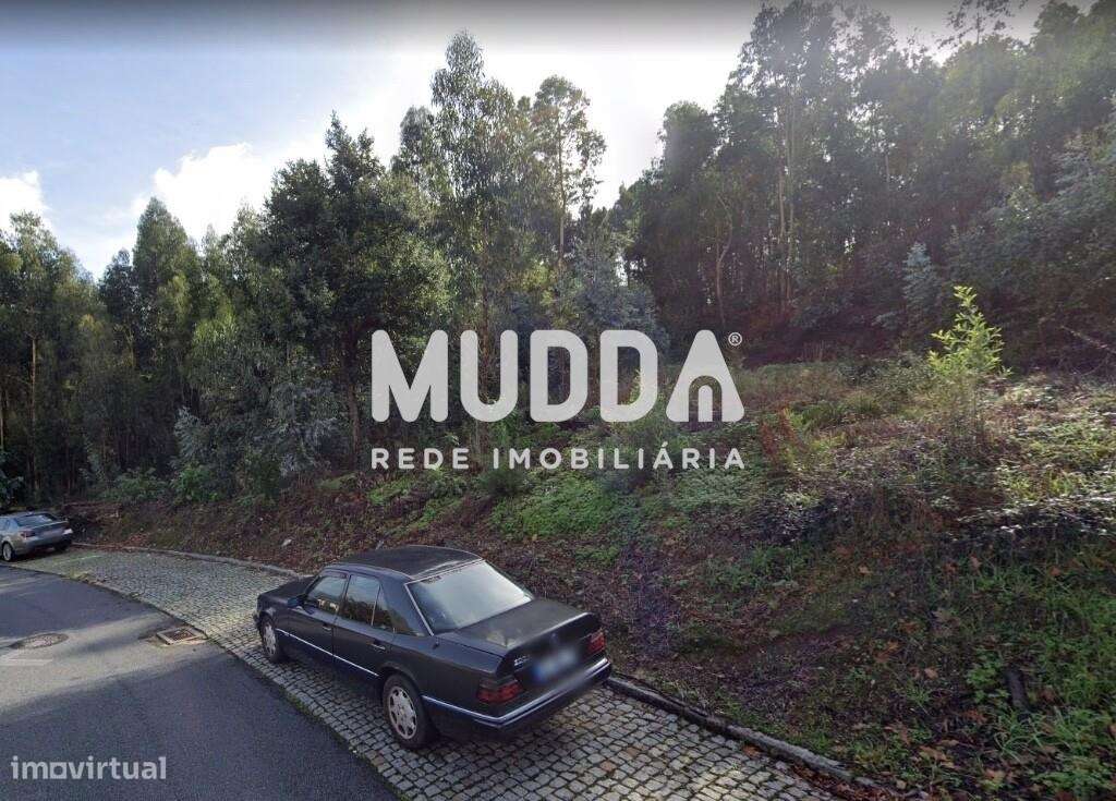 Terreno com 2.900 m2, rústico, com possibilidade de construção, em Cré - Grande imagem: 5/7