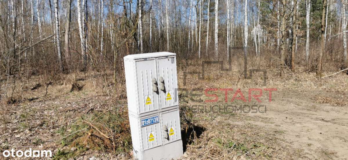 Media, park, Mpzp.-6