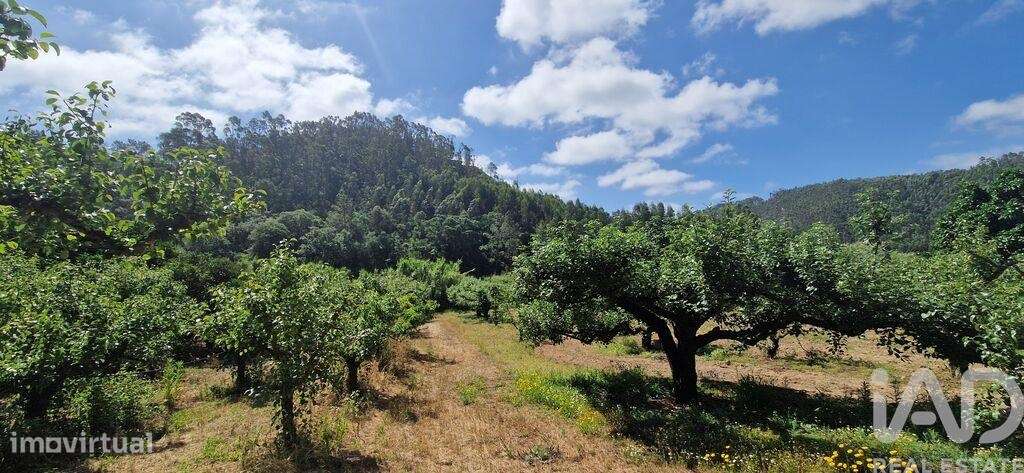 Terreno em Azueira e Sobral da Abelheira de 7812,00 m2 - Grande imagem: 4/21