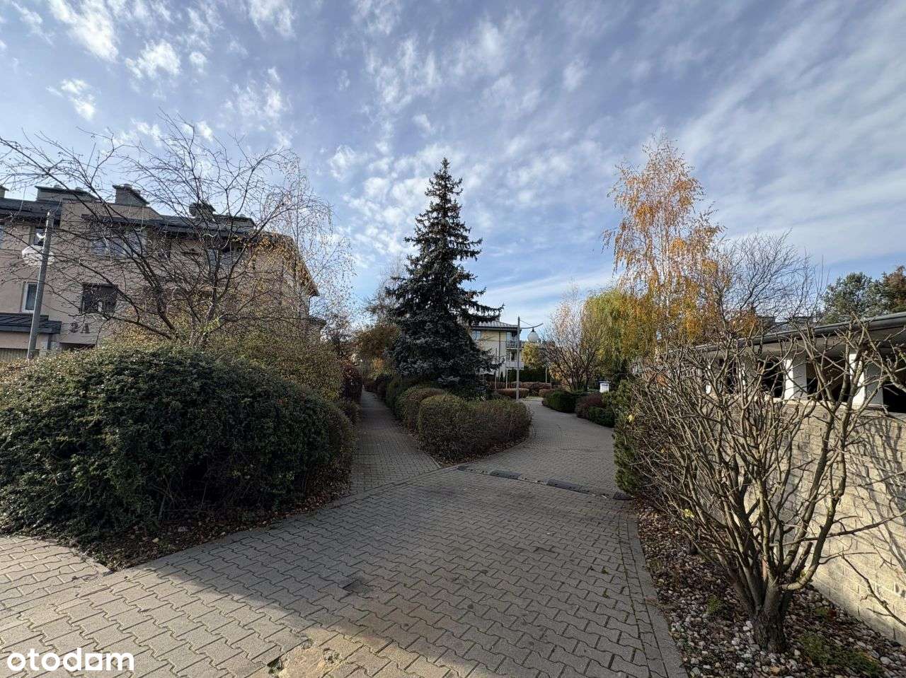 2pok.przyParku.Blisko do M2Kondr.Oddzielna kuchnia-18