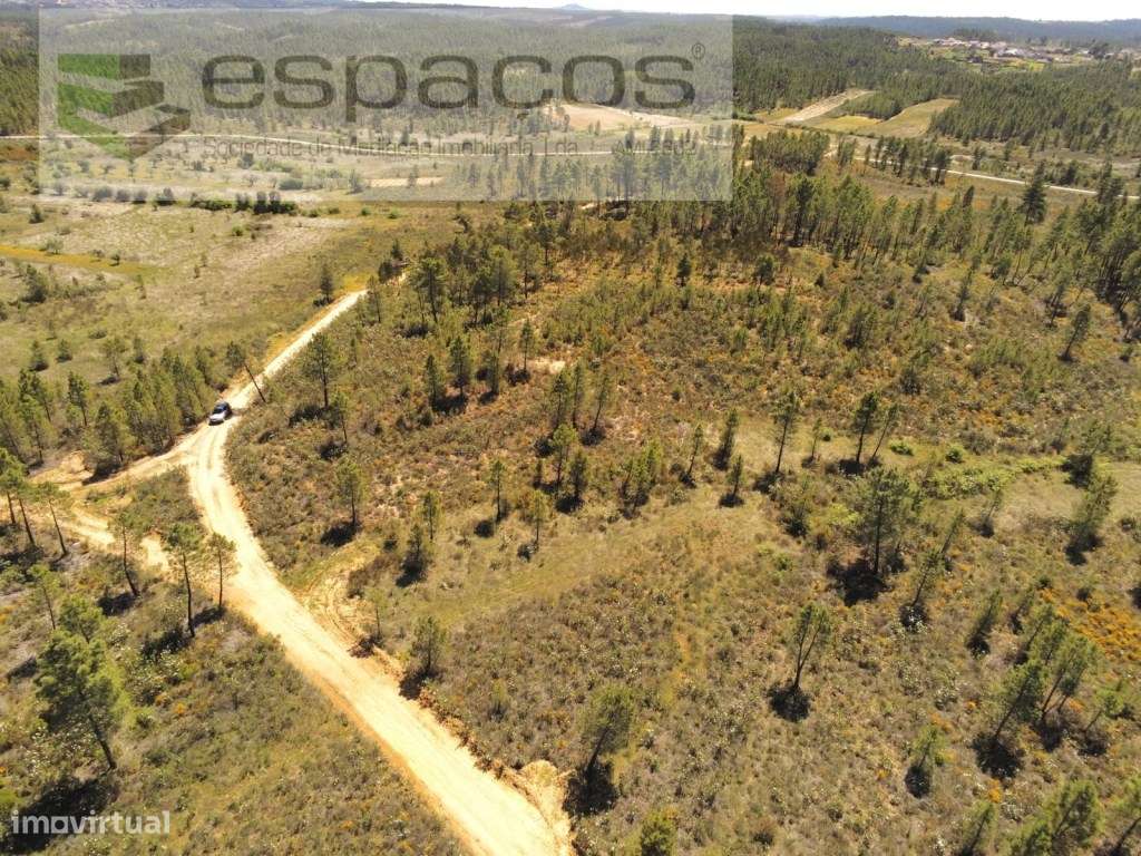 Terreno rústico - Risca do Cabo - Grande imagem: 2/12