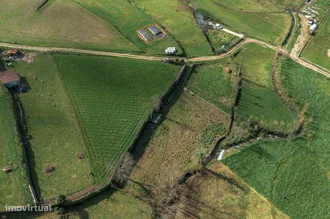 Terreno para venda em Este (São Pedro e São Mamede), Braga - Grande imagem: 3/7