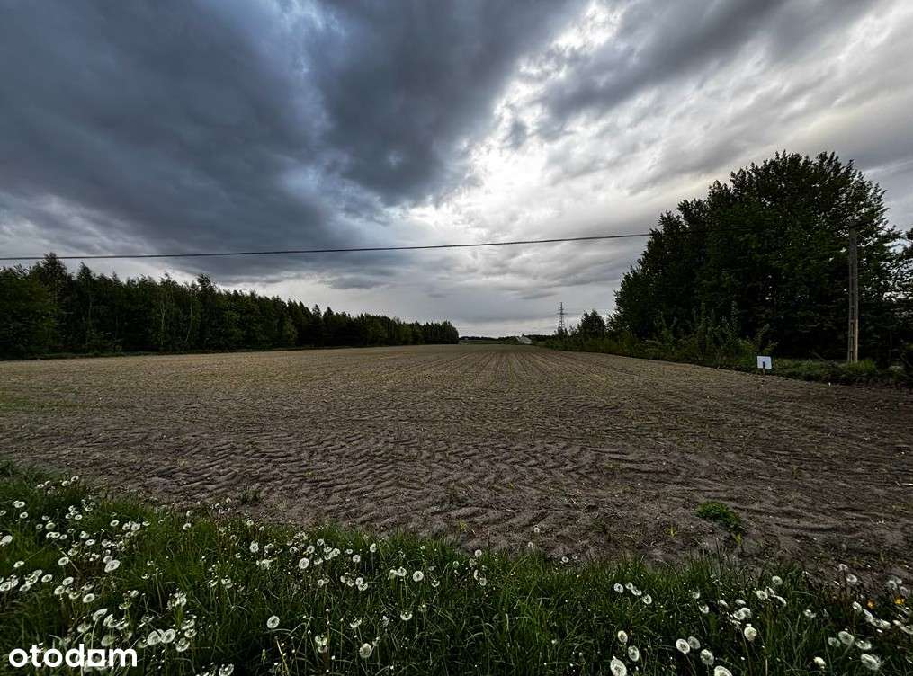 Działka rolna do przekształcenia przy S61 - Pełny obrazek: 2/10