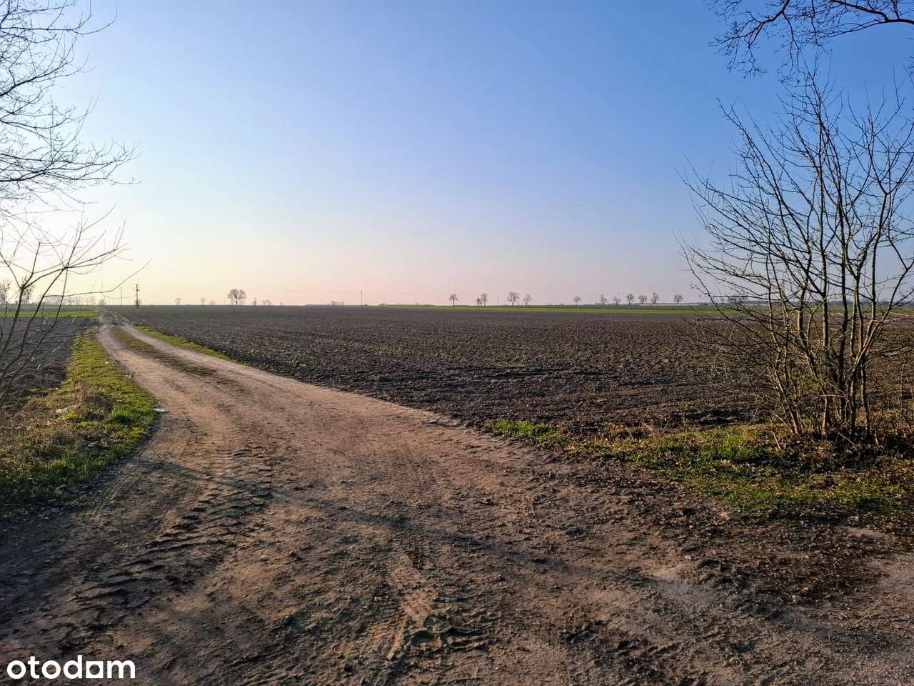 Działka budowlana, Boguszyce, 5 minut od Oleśnicy, dobry dojazd - Pełny obrazek: 4/10
