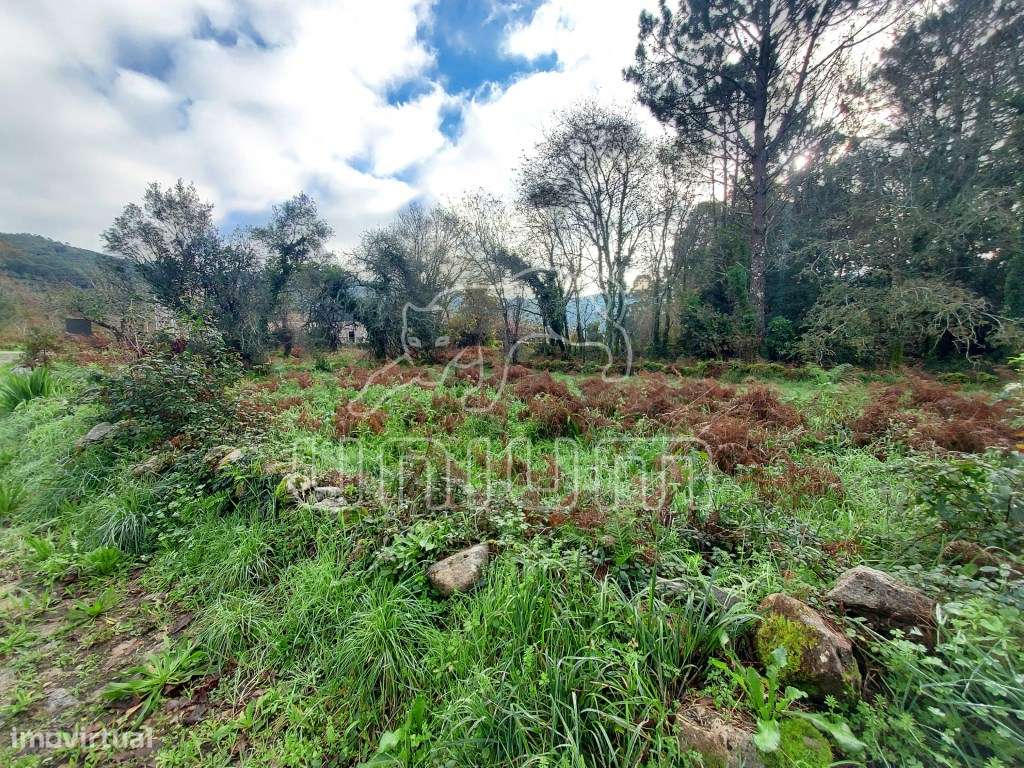 TERRENO - Afife, Viana do Castelo - Grande imagem: 2/6