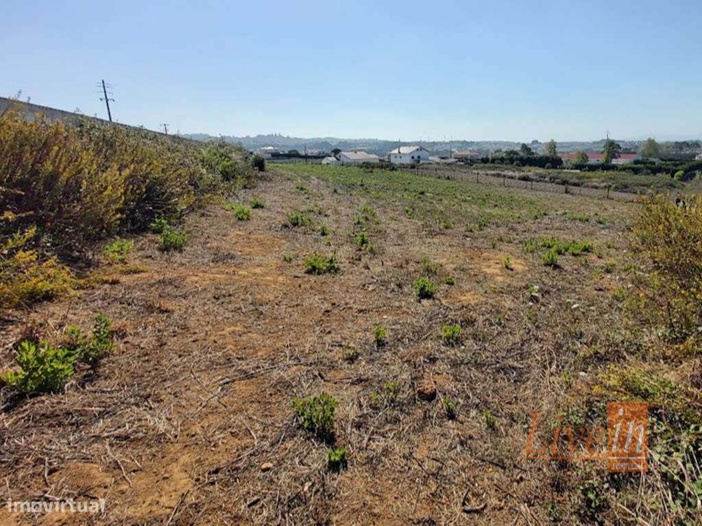 Terreno Urbano no Sobreiro - Grande imagem: 4/12