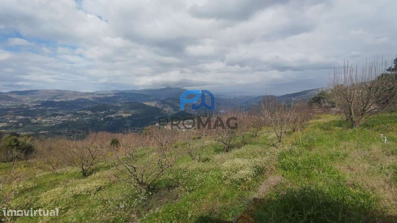 Terreno Urbanizável de 7959 m² com Armazém - Grande imagem: 5/56