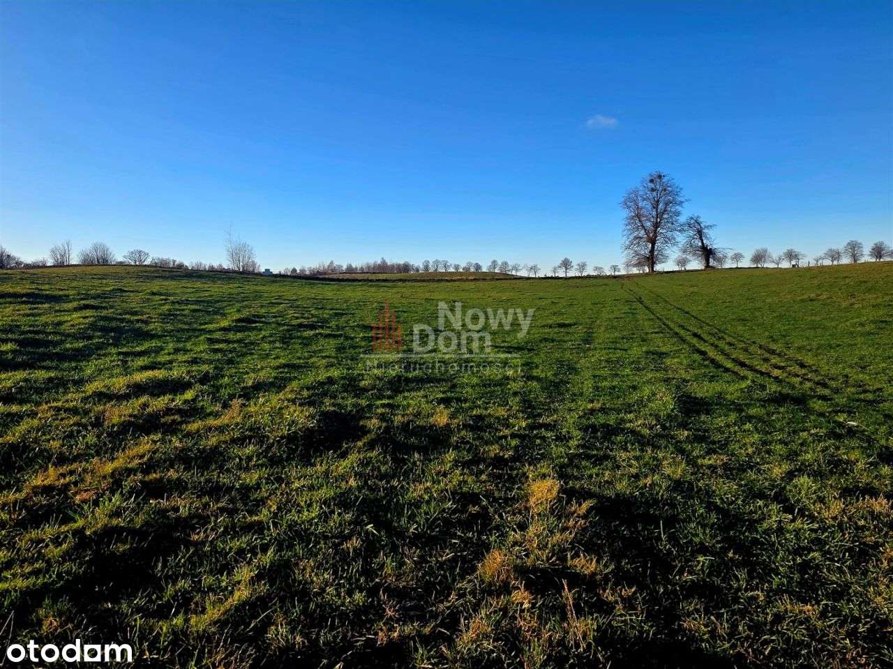 Kompleks Działek Wilkaski!-9