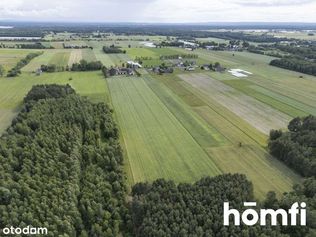 Inwestycyjny Obiekt Blisko Radomia - Pełny obrazek: 4/20