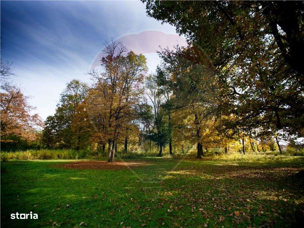 Domeniu Baronial de vanzare in localitatea CIL , Judet Arad - Imagine principală: 5/12