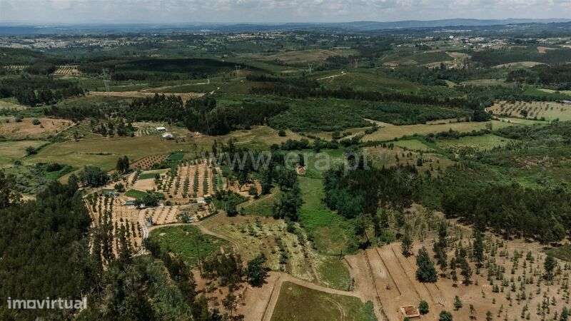 Quinta / Seia, Santiago - Grande imagem: 5/20