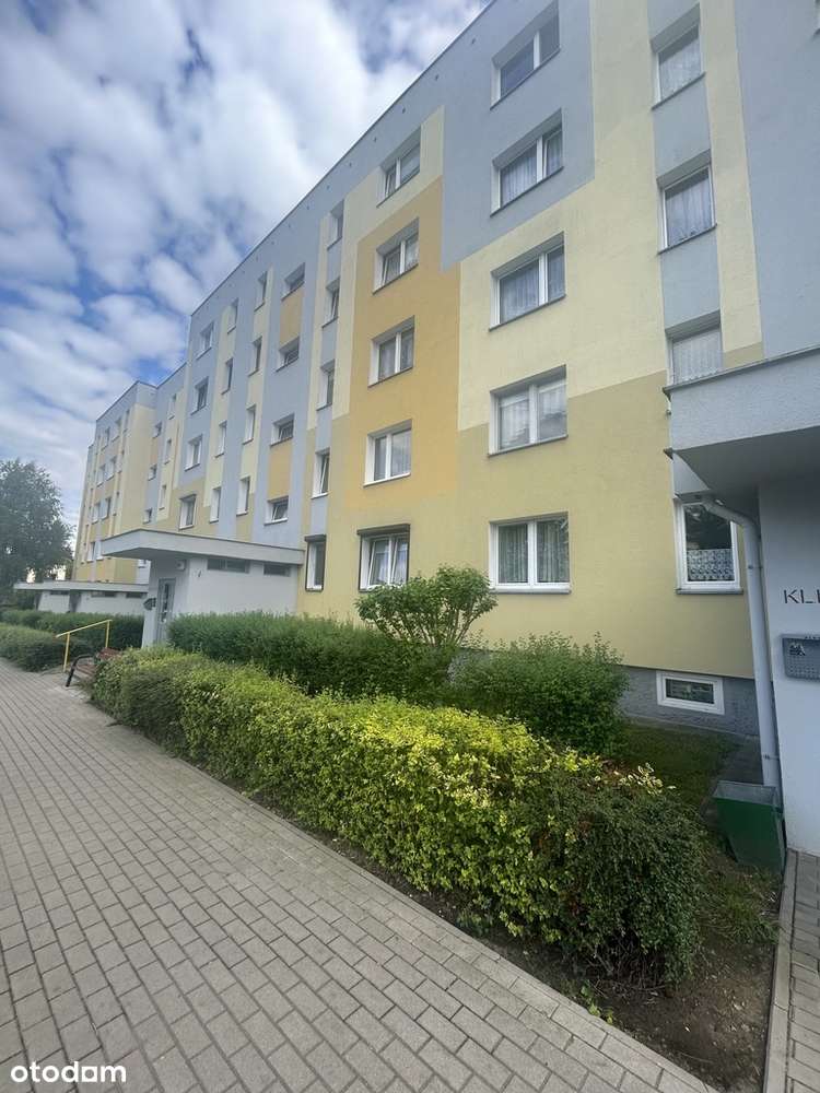 Rozkładowe  3 pokoje z  widokiem na zieleń osAsnyk-3