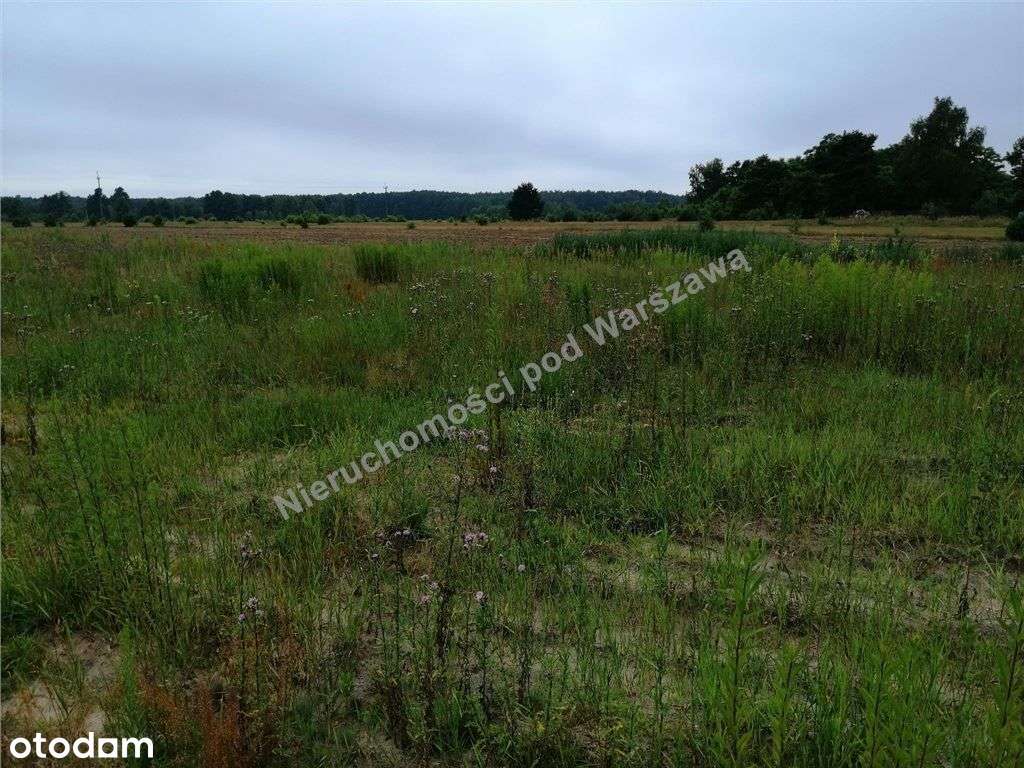 Duża działka przy asfalcie.-1