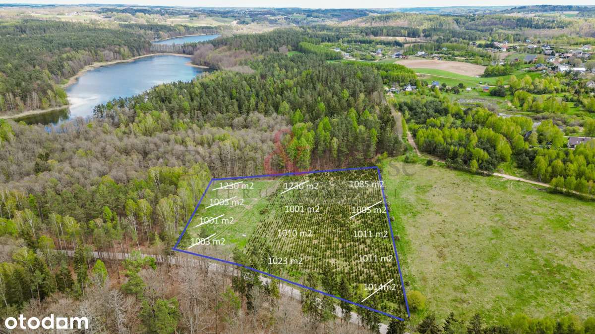 Działki na Kaszubach z widokiem na las - Pełny obrazek: 3/14