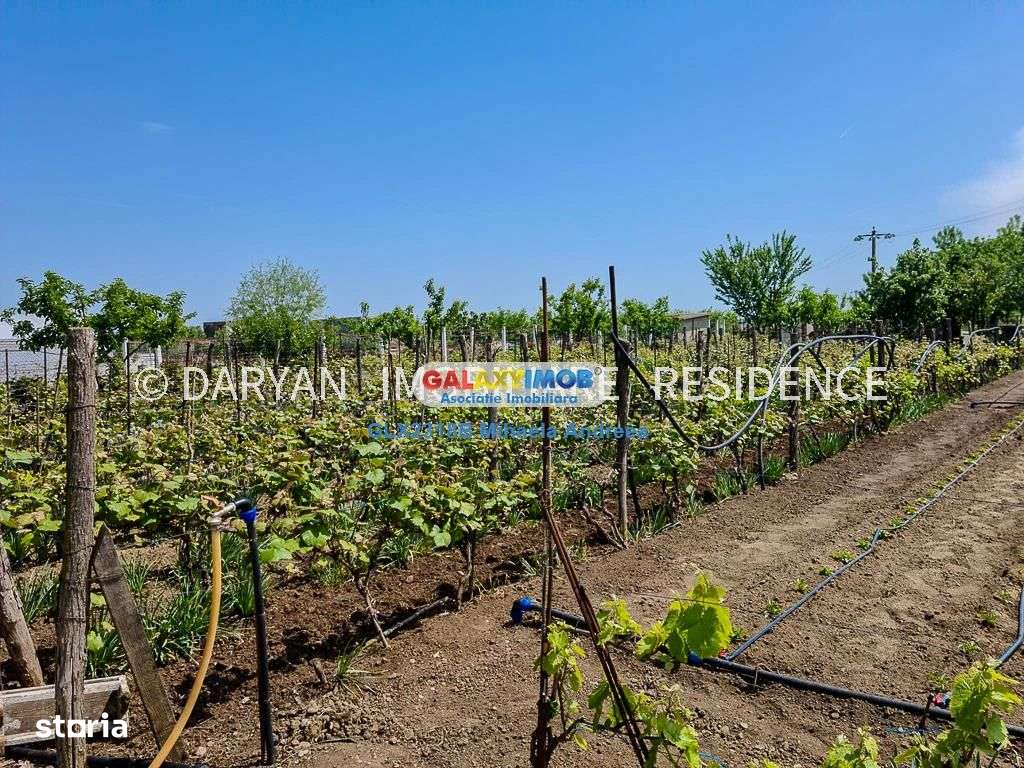 Teren in Poienari Apostoli, 21 E\/mp, Avantajos, DN1, 34.500 euro - Imagine principală: 2/17