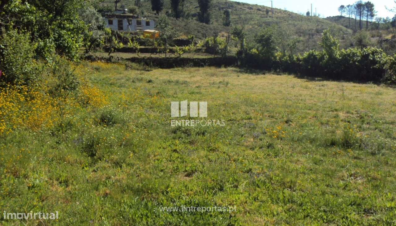 Venda Terreno, Rosém, Marco de Canaveses - Grande imagem: 5/8