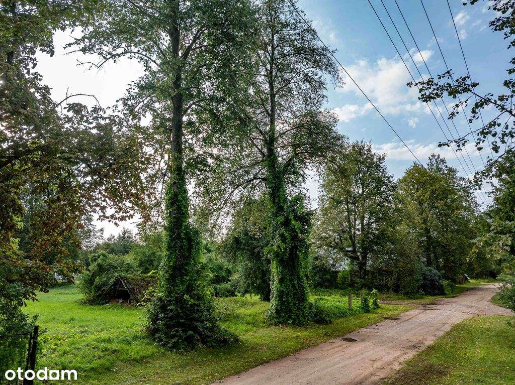 Działka w okolicy Krynek, Ostrów Południowy-9