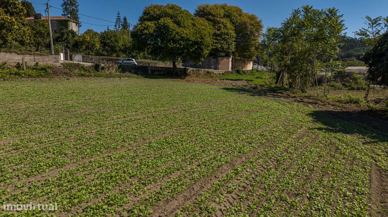 Terreno para construção de moradia individual-8