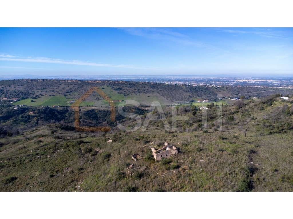 Terreno misto em Palmela de 40ha - Grande imagem: 3/9