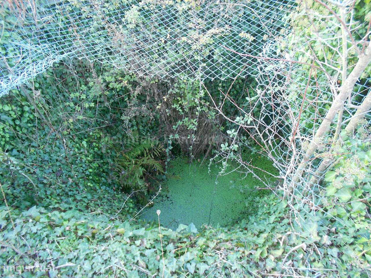 Terreno Rústico  Venda em Paços da Serra,Gouveia - Grande imagem: 4/8